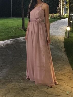 Alfred Angelo bridesmaid dress (Style 7388L), Size 4